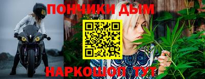 a pvp Пугачёв