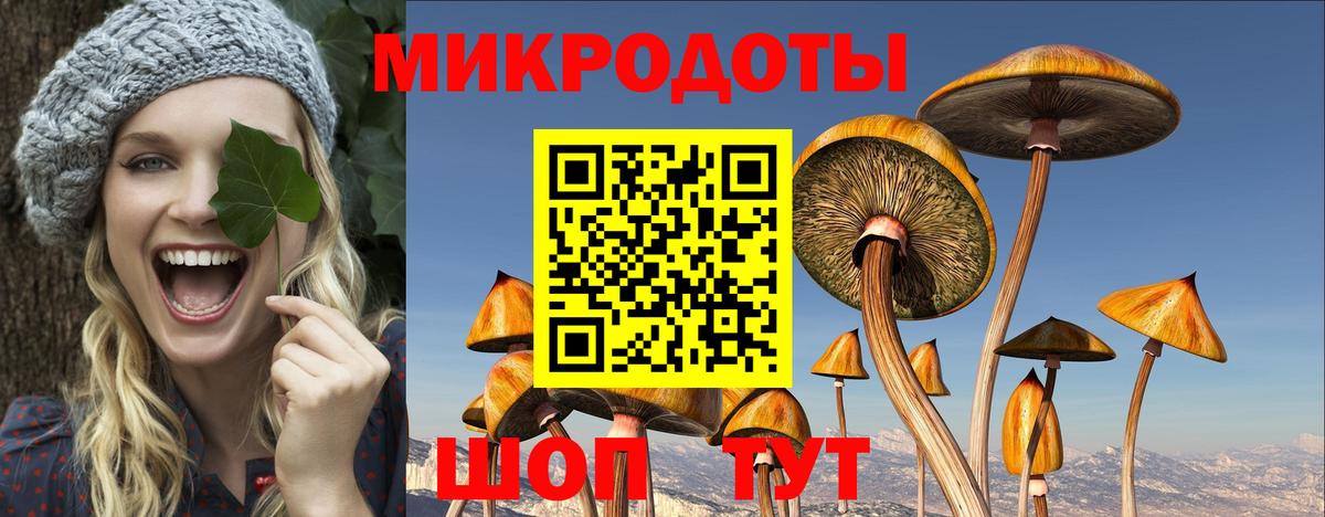 Псилоцибиновые грибы MAGIC MUSHROOMS  Галлюциногенные грибы Magic Shrooms  Вход с VPN  Сунжа 