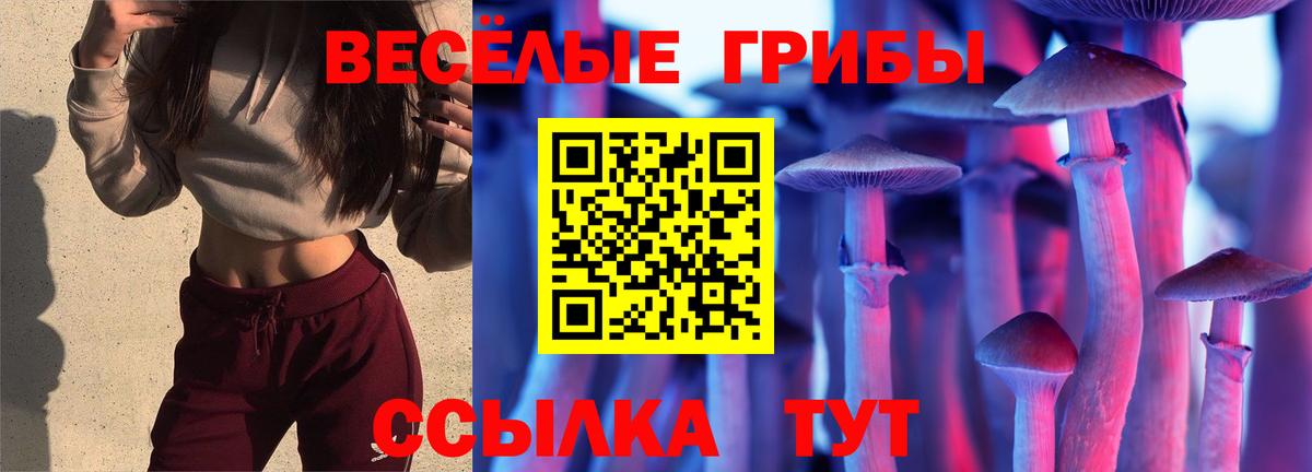 Псилоцибиновые грибы Psilocybine cubensis Сунжа