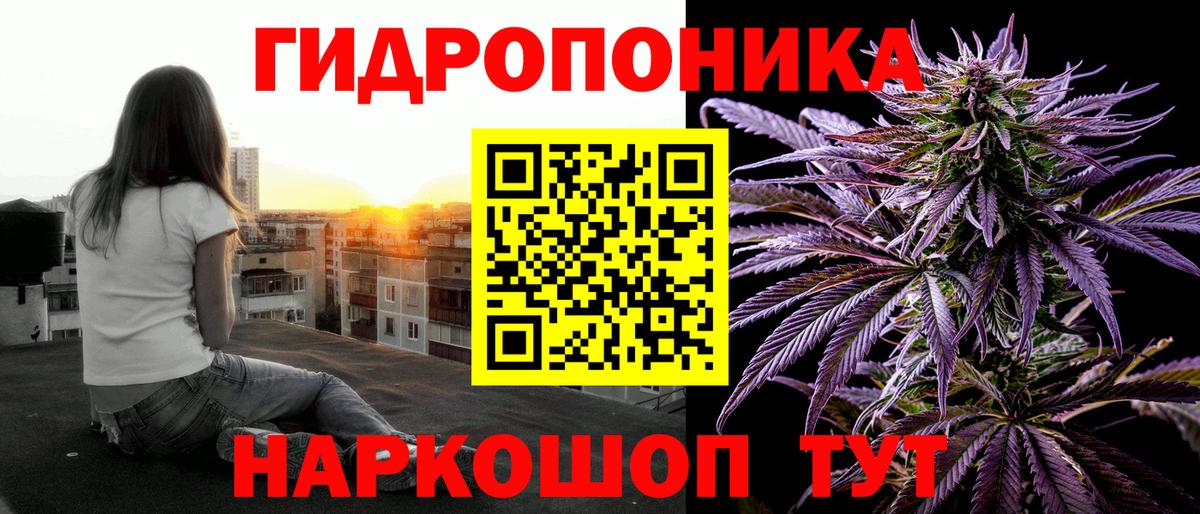 Конопля White Widow Сунжа